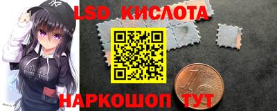 гидропоника Дубна