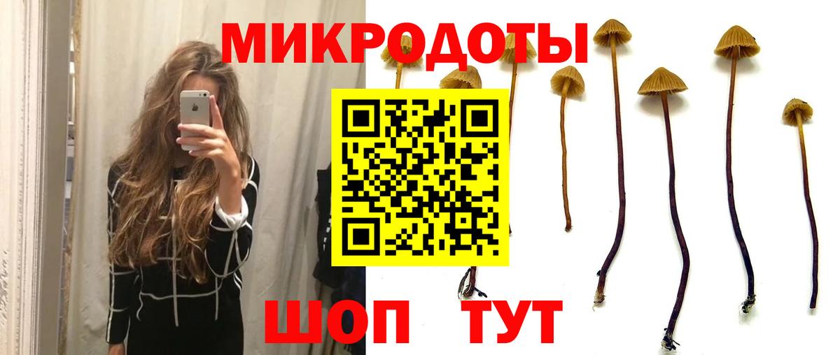 Псилоцибиновые грибы мицелий Мариинск